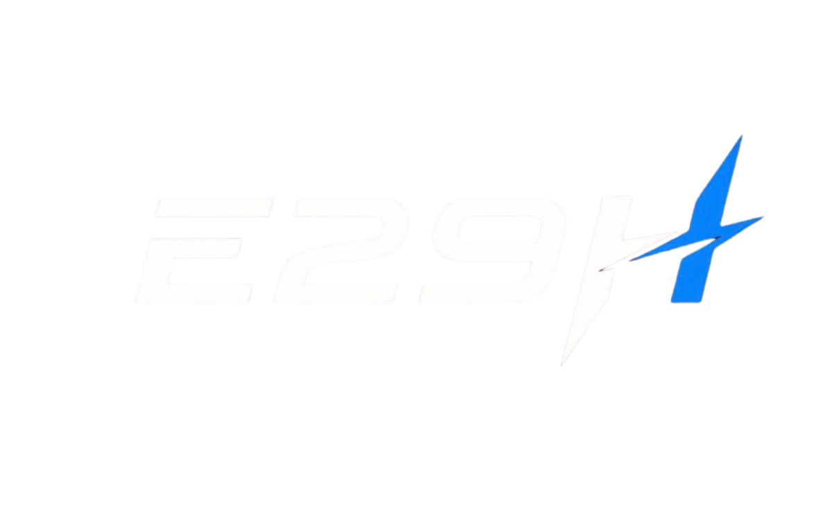 E29 HOLDINGS GROUP