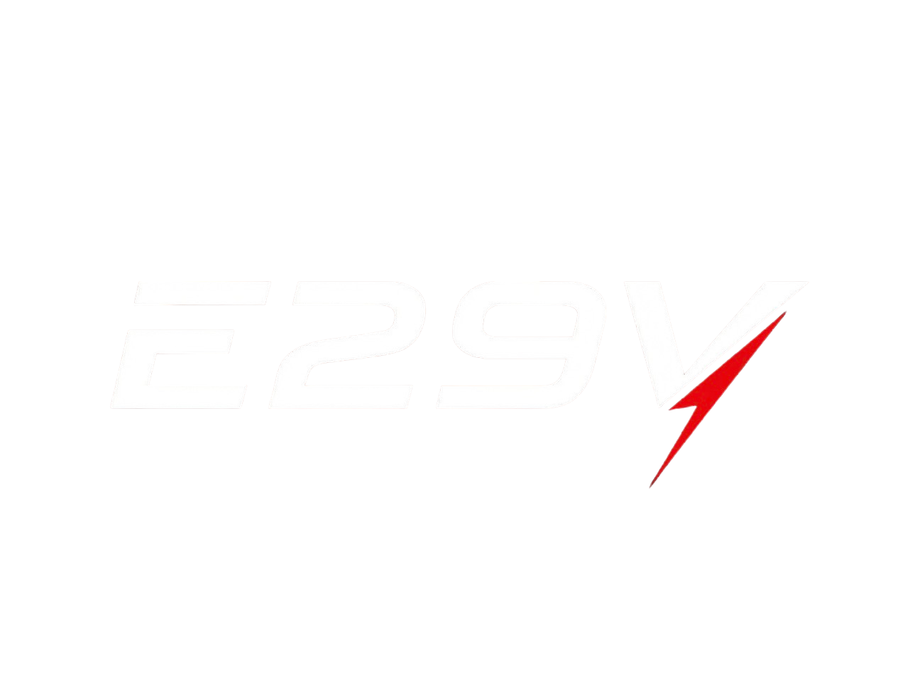 E29 VENTURES