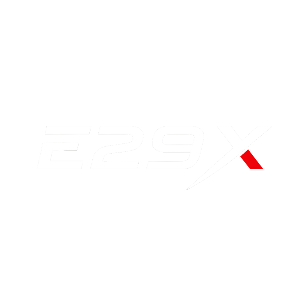 E29X TECHNOLOGIES